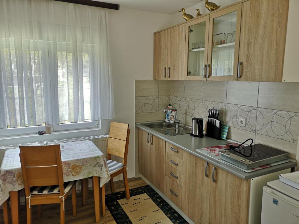 Apartmani Zubor Banja Koviljača Esterno foto